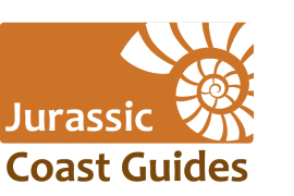 jurassic coast fossil tour